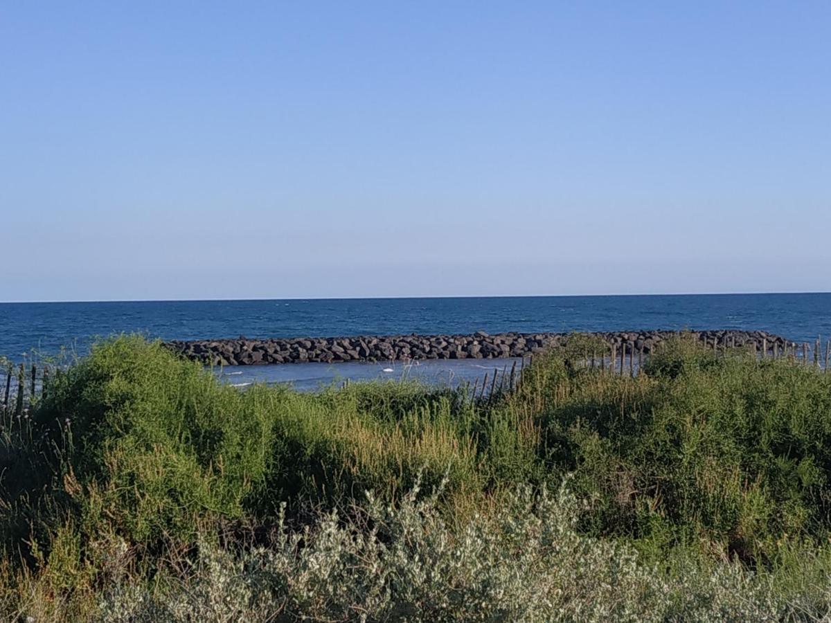 Appartement, Vue Sur Mer, Acces Direct Plage, Piscine Vias Dış mekan fotoğraf